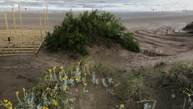 Construcción médanos