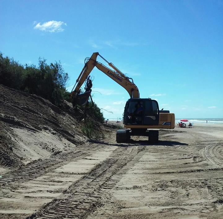 Depredación playera