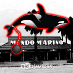 (In)Mundo Marino