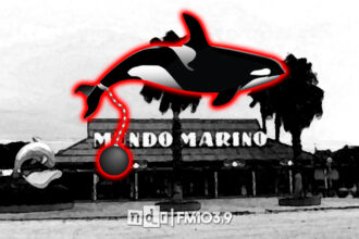 (In)Mundo Marino