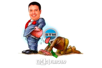 Cardozo STM