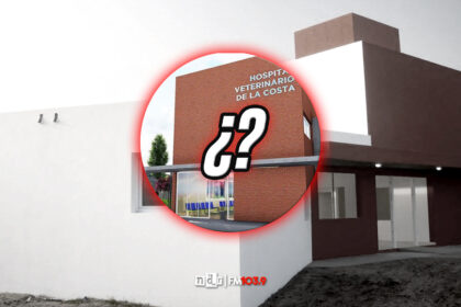 Hospital Veterinario Municipal