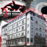 Kshamenk UNMdP Mundo Marino