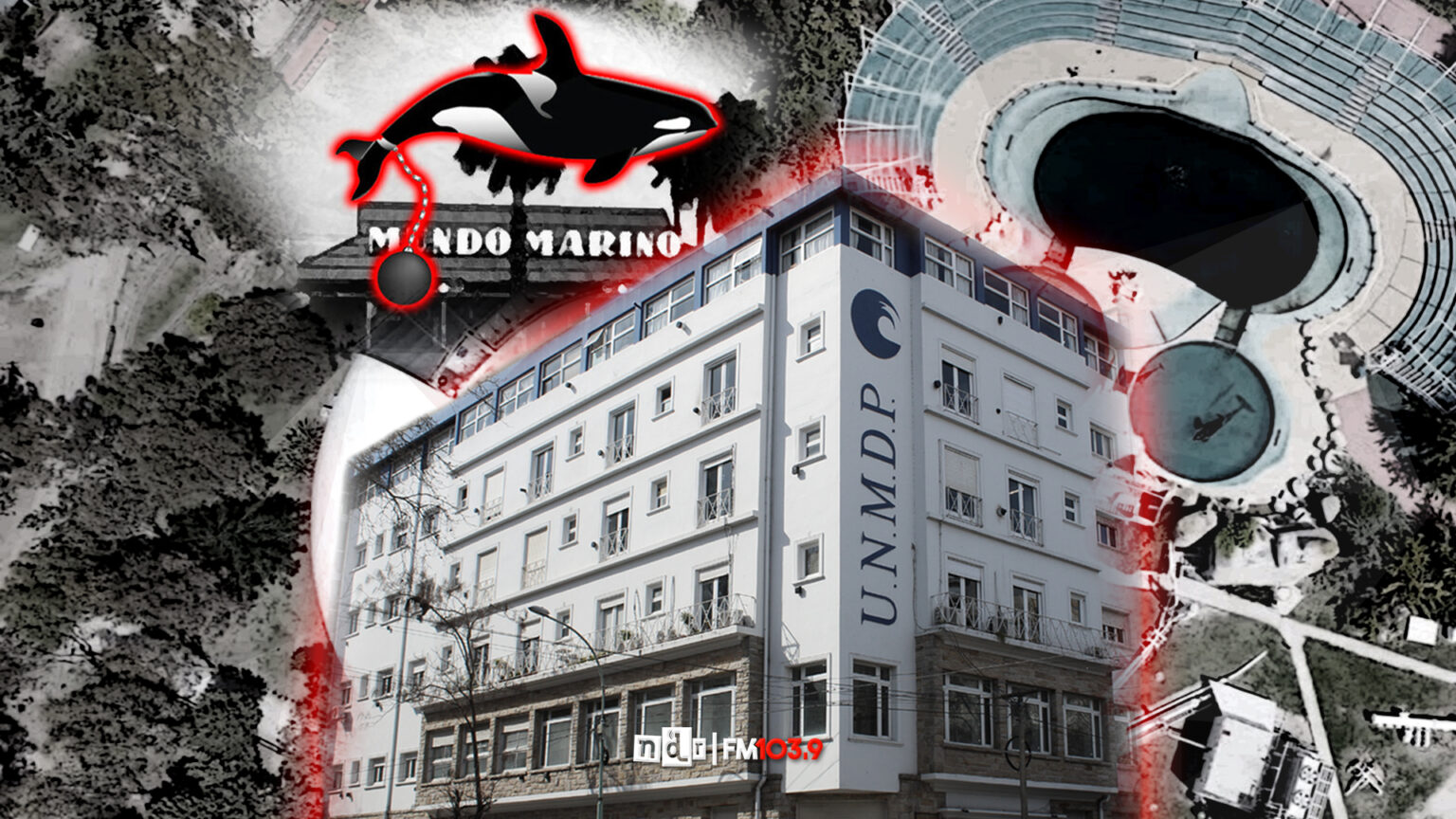 Kshamenk UNMdP Mundo Marino