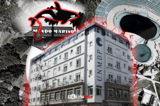 Kshamenk UNMdP Mundo Marino