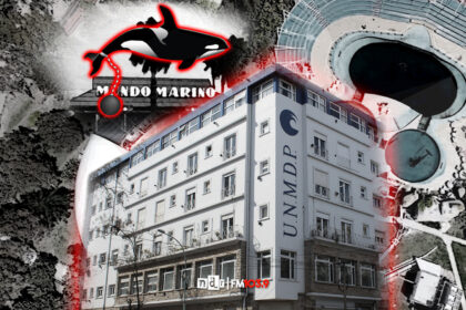 Kshamenk UNMdP Mundo Marino